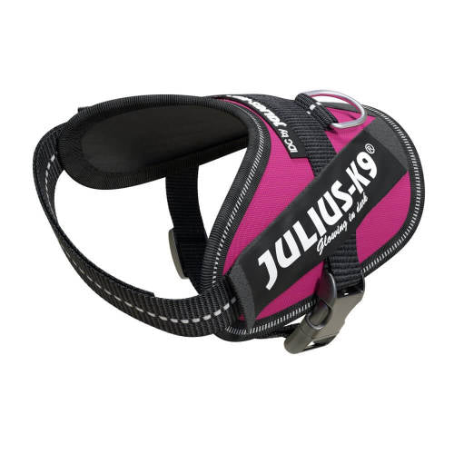 Julius K-9 IDC Power Harness (Baby 2 Größe) für Hunde (2-5 kg) IN MEHREREN FARBEN
