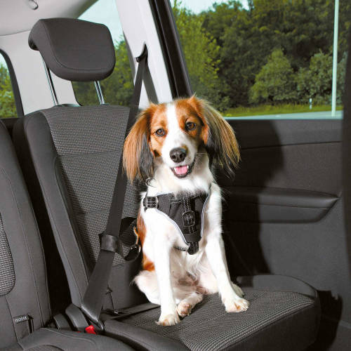 Trixie Car Harness Comfort - Sicherheitsgeschirr fürs Auto - Schwarz IN MEHREREN GRÖSSEN