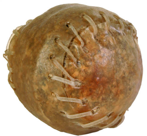 Trixie Kauball - Leckerli (Baseballball) IN MEHREREN GRÖSSEN