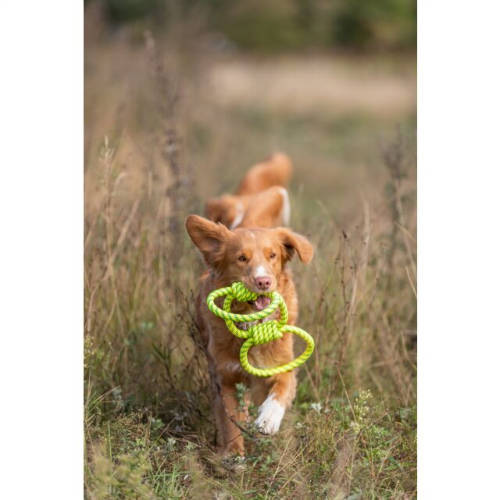 Trixie Aqua Toy Tugger - Wasserspielzeug (Seilreifen) für Hunde (42cm)