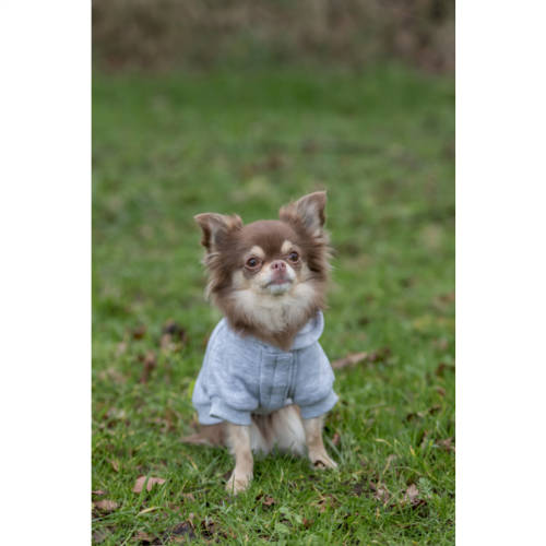 Trixie Rainbow Falls Hoodie - Kapuzenpullover (grau, gemustert) für Hunde MEHRERE GRÖSSEN