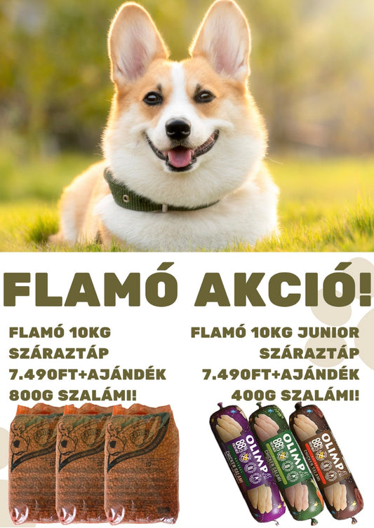 Flamó 10kg AKCIÓ AJÁNDÉK SZALÁMIVAL
