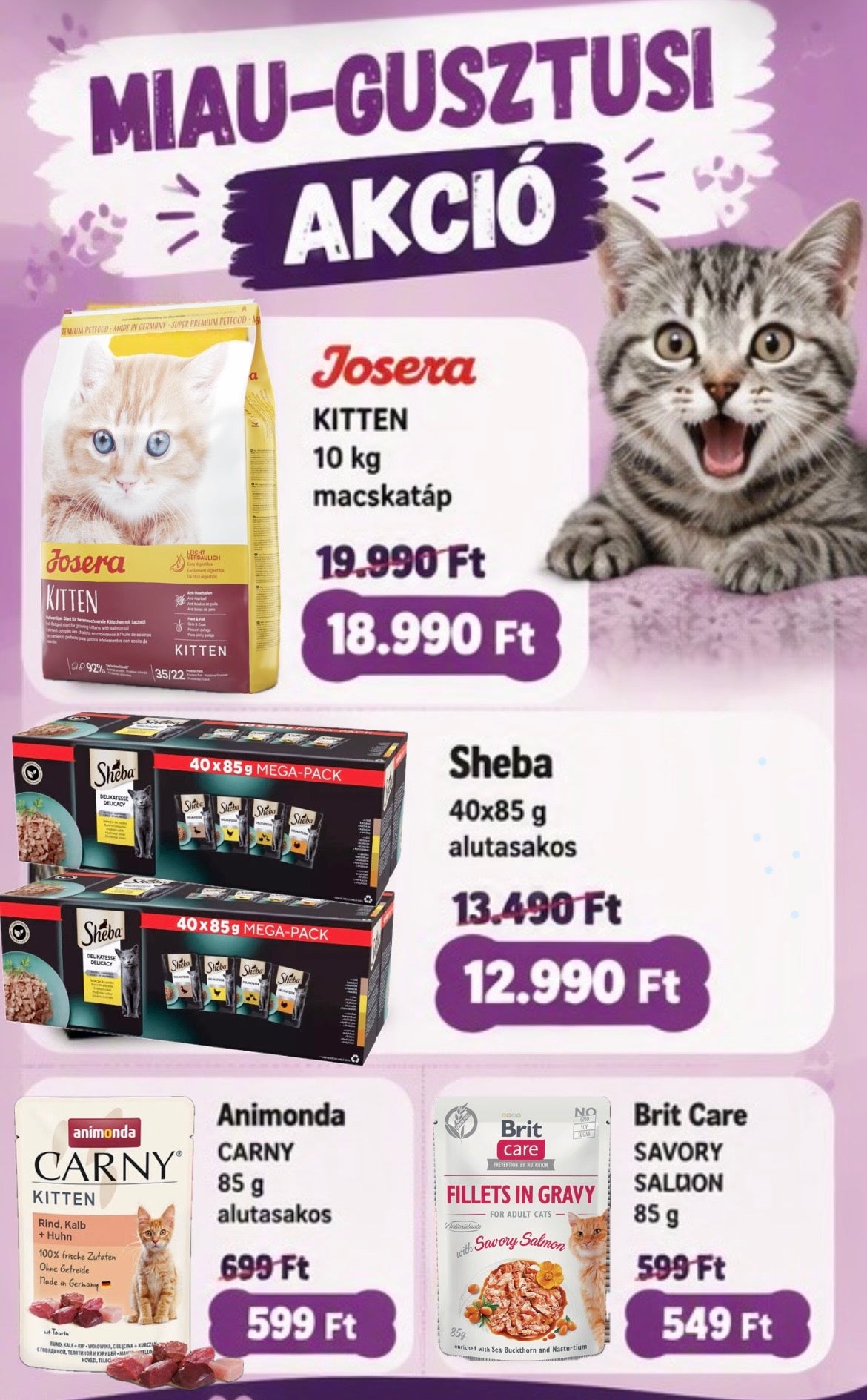 MIAUGUSZTUSI Cicás AKCIÓ!