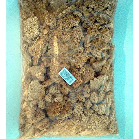 Dolly Prémium sült instant tészta 10kg